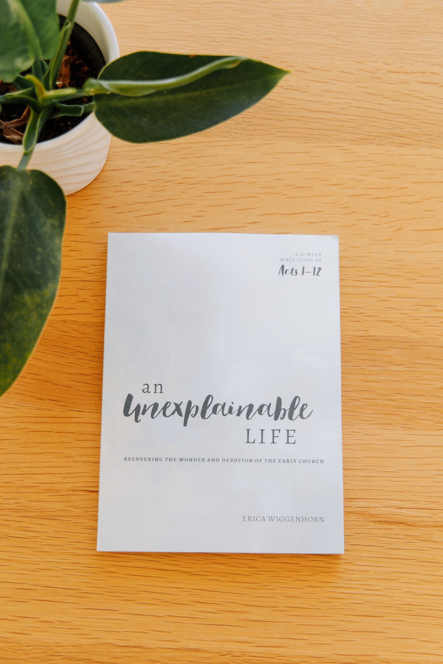 An Unexplainable Life