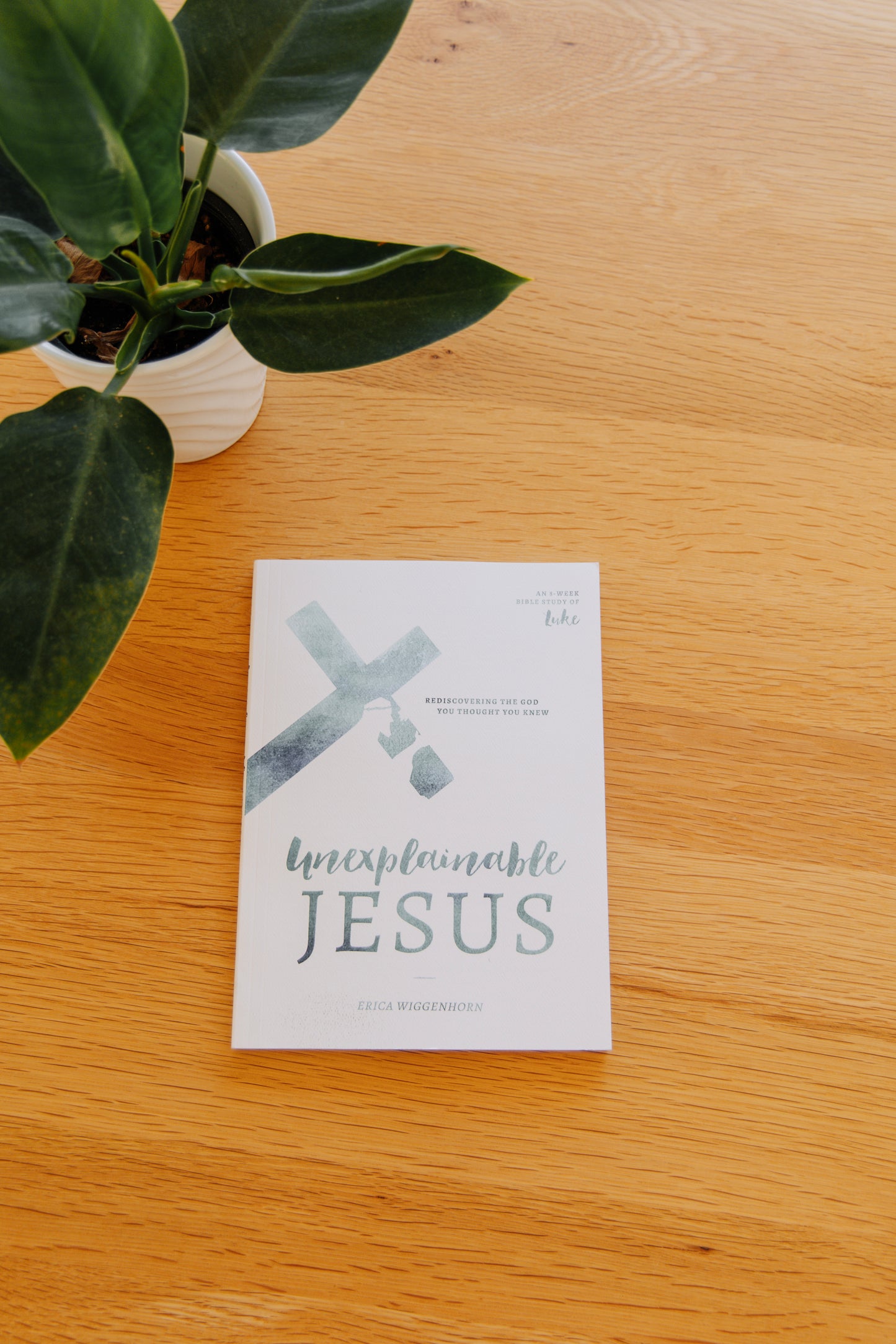 Unexplainable Jesus