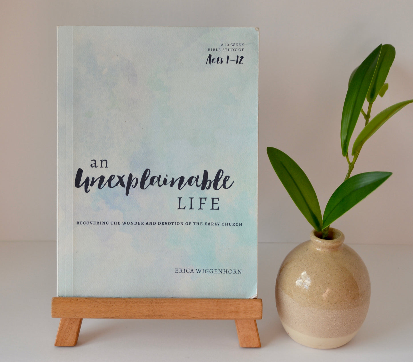 An Unexplainable Life + T-Shirt Bundle