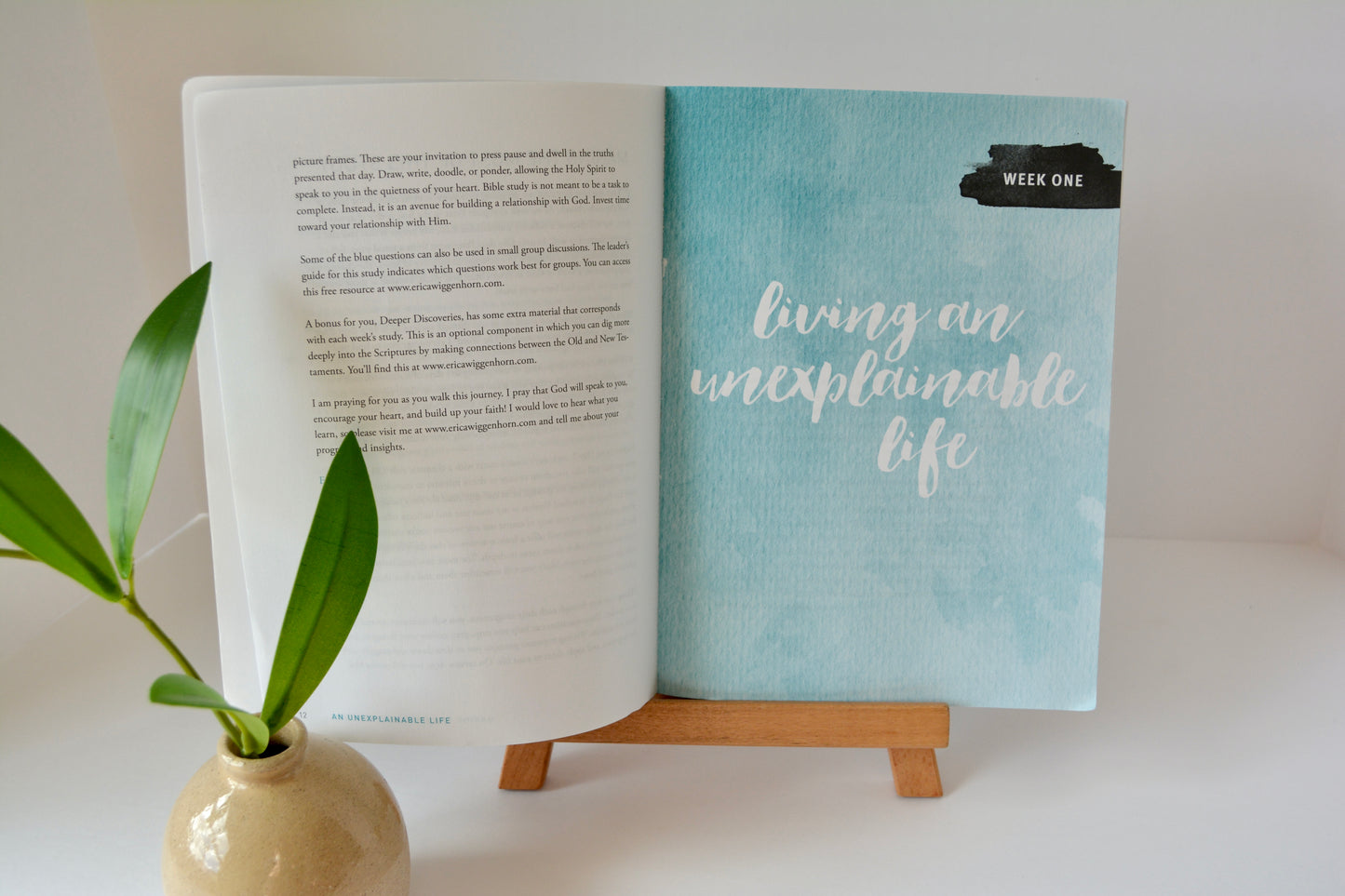An Unexplainable Life + T-Shirt Bundle