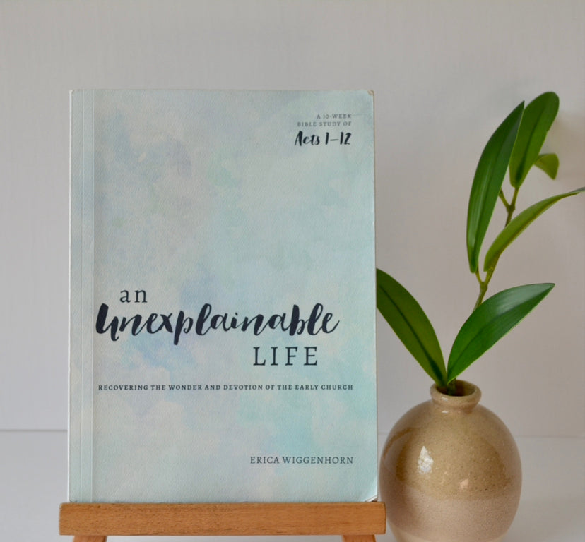 ACTS Bible Study Bundle
