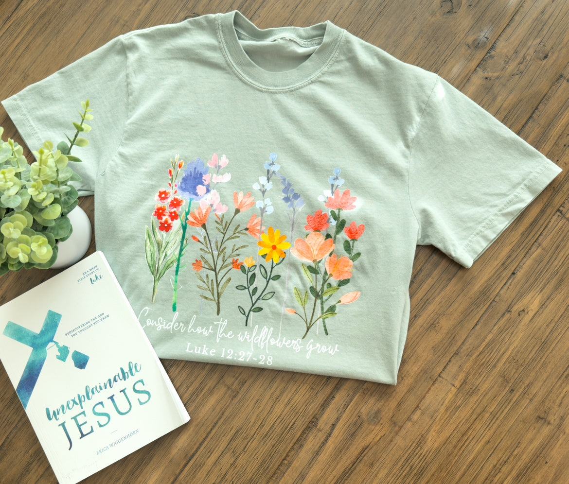 Unexplainable Jesus + T-Shirt Bundle